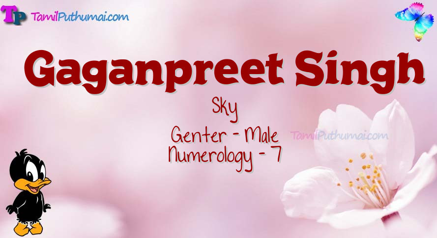 Gaganpreet Singh-babyname-meaning